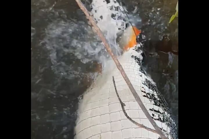 @natureismetal/Instagram