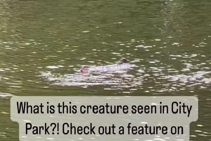 @earlypartners/Instagram