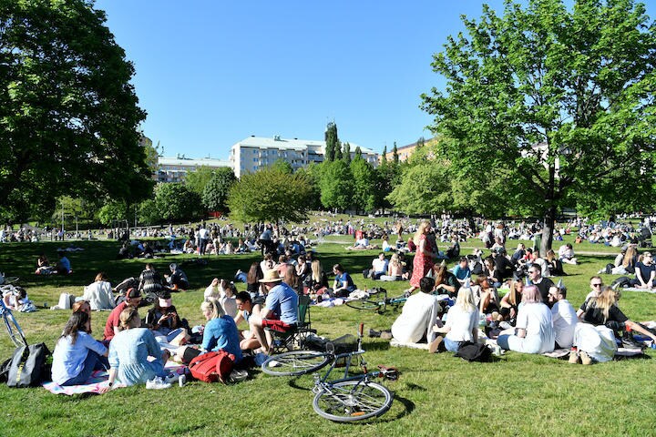 新型コロナ流行の中でも、公園でピクニックを楽しむスウェーデン人（5月30日、ストックホルム）　Henrik Montgomery/REUTERS