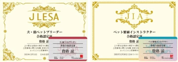 犬・猫ペットブリーダー資格の証明書