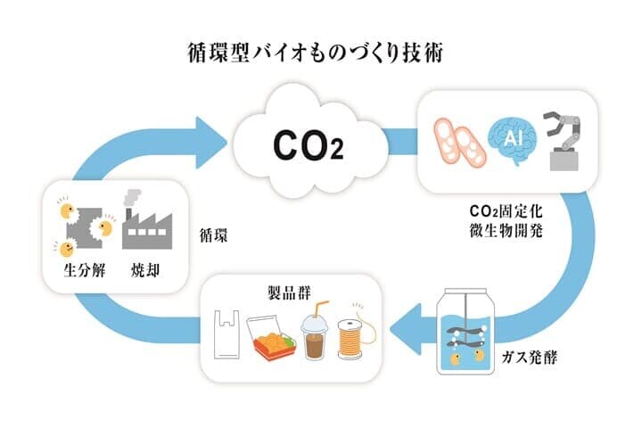 循環型バイオものづくり技術
