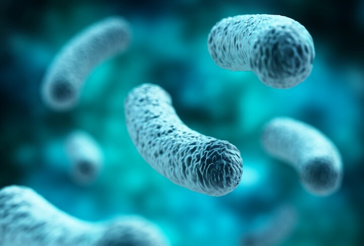 腸内細菌は電流を生成する力があるかもしれない　adventtr-iStock