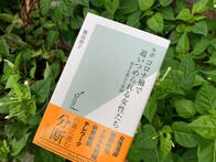 ハロワの窓口にいるのは非正規公務員──コロナ禍の女性たち