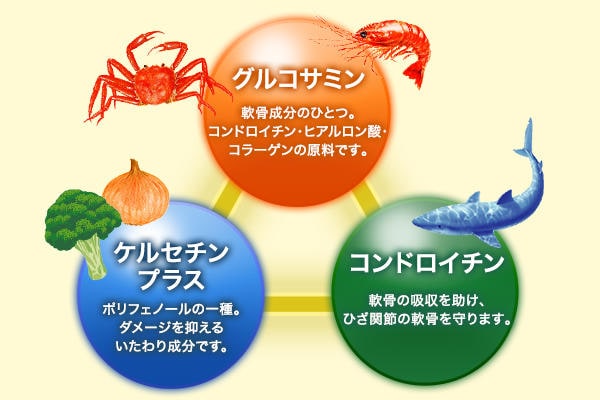「グルコサミン」「ケルセチンプラス」「コンドロイチン」