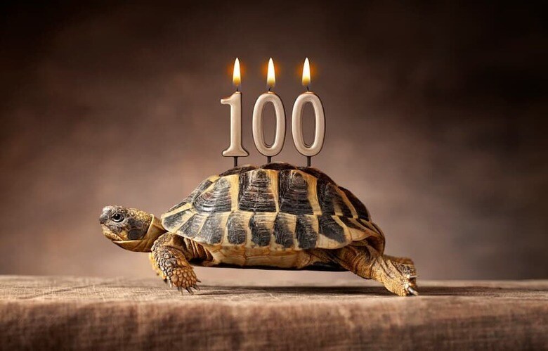 今後ともどうぞごひいきに……　malerapaso/Getty Images