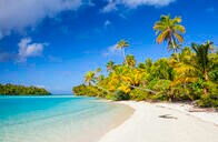 無人島にたどり着いた日本人たちがたらふく味わった｢牛肉より美味い動物｣とは？