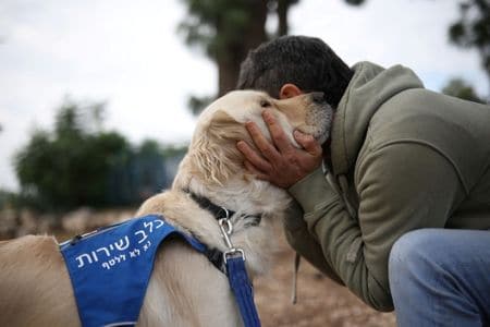 イスラエルのアフラにある戦闘退役軍人向けクリニックで、介助犬を抱きしめる男性。2025年12月15日撮影。REUTERS/Shir Torem