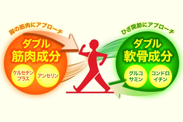 「アンセリン」「ケルセチンプラス」「グルコサミン」「コンドロイチン」