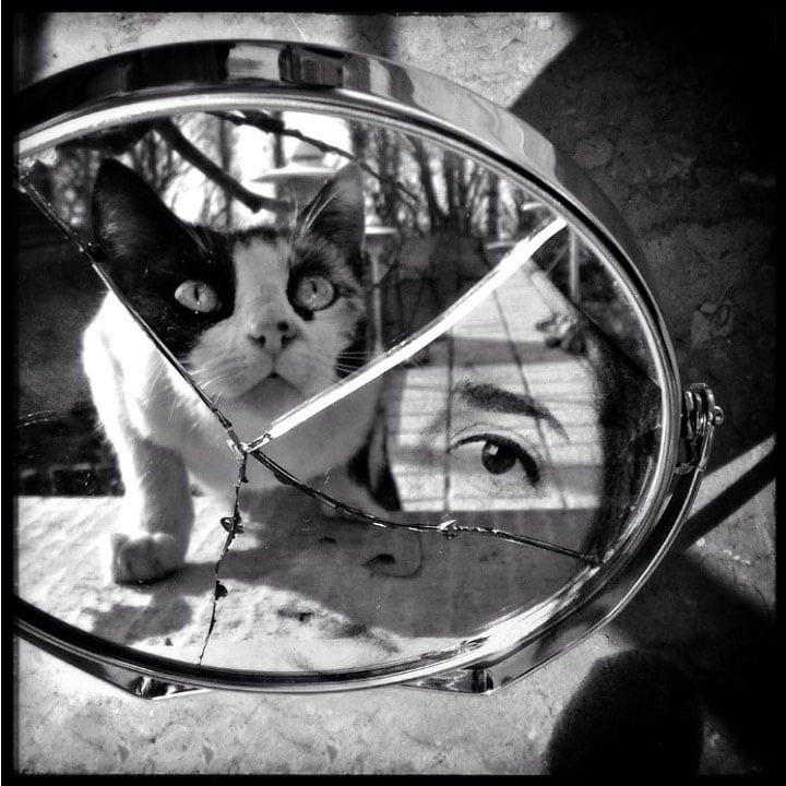 From Negar Takbiri <a href=\"https://www.instagram.com/p/7p_6uQF_tJ/\"target=_blank\"><u>@negartakbiri</u></a>