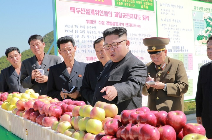 果樹園を視察する金正恩　KCNA