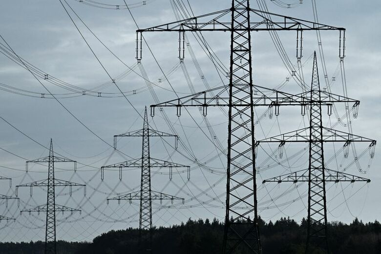 2025年1月、独リュートウヴァルーン近郊の高圧送電線と送電鉄塔。 REUTERS/Annegret Hilse