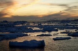 グリーンランドと南極で氷大幅減、衛星データで研究＝国際チーム