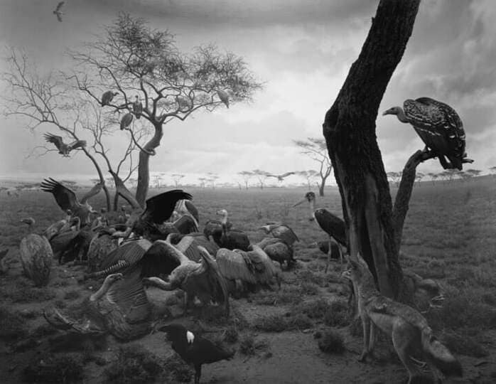 杉本博司　ポスター２枚セット「大きな女性像」「ハイエナジャッカルコンドル」 Portraits-Japanese — Hiroshi Sugimoto 版画