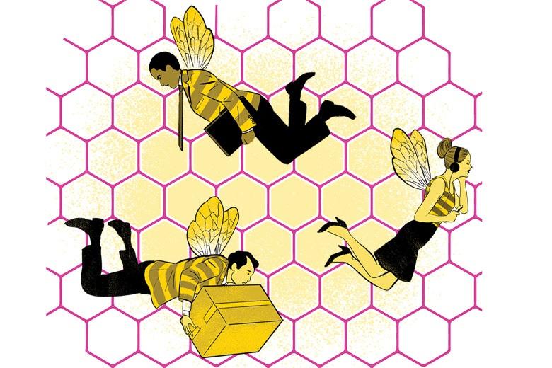 ILLUSTRATION BY ALEX FINE