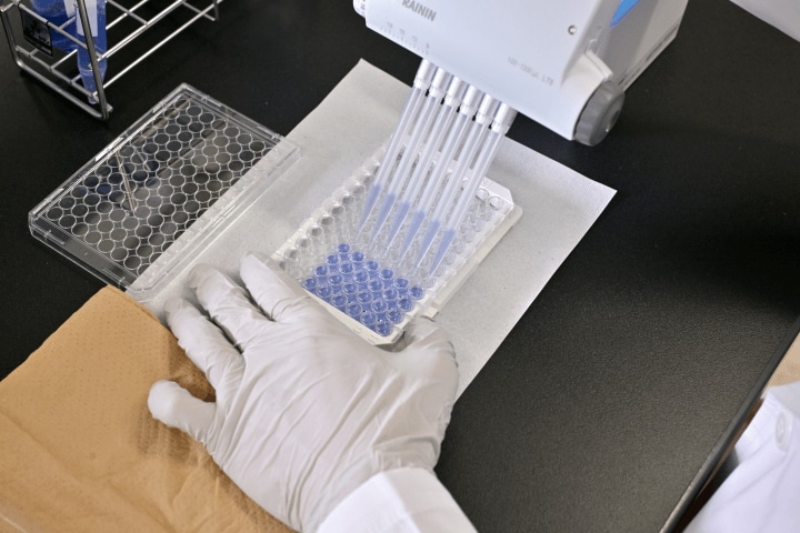 がんの早期発見を阻む「金額の壁」を取り払う──相互扶助の仕組みで「医療格差の是正」へ | ニューズウィーク日本版 オフィシャルサイト