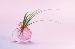 「生け花」と「フラワーアレンジメント」は何が違うのか？...華道家・池坊専好が語る「いのちを生ける」思想