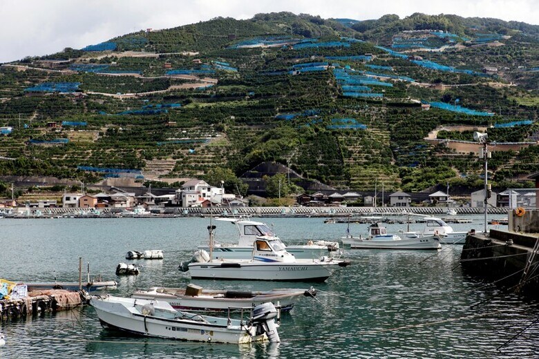 11月2日、四国電力は、再稼動した伊方原子力発電所3号機の発送電を10月30日に開始した。伊方町で10月撮影。（2018年　ロイター/Mari Saito）