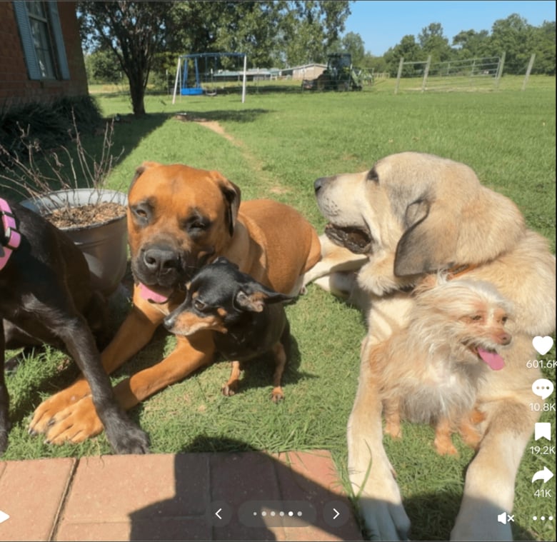 スクリーンショット 2025-09-03 19.15.45.png