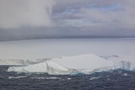 世界最大の氷山、サウスジョージア島沖で座礁...生態系への影響は？