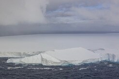 世界最大の氷山、サウスジョージア島沖で座礁...生態系への影響は？