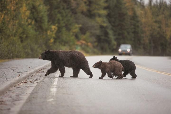 WERGODSWARRIOR/ISTOCK