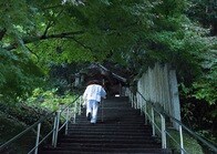 どのお寺にもユニークな特徴があり、弘法大師ゆかりの逸話がある