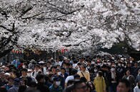 新型コロナ、若者ばかりが責められて「中高年」の問題行動が責められないのはなぜか