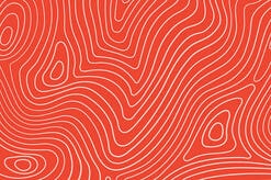 ラディカル・マーケットとは何か？──資本主義を救う「急進的な市場主義」という処方箋