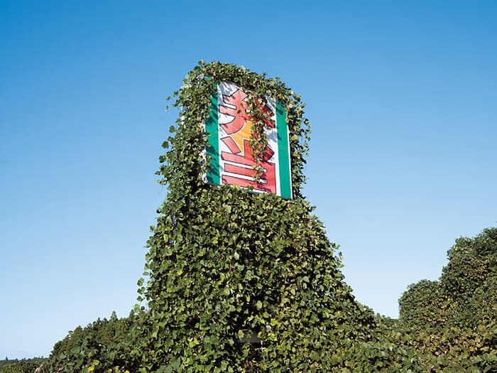 原発事故被災地域の大動脈である国道6号線沿いの弁当店（富岡町、24年）。放置された看板は植物にのみ込まれた