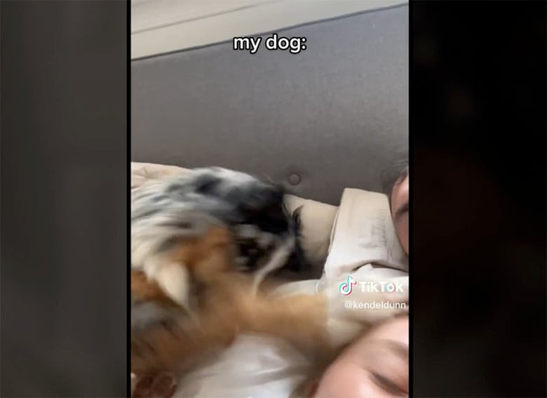 @kendeldunn/TikTok