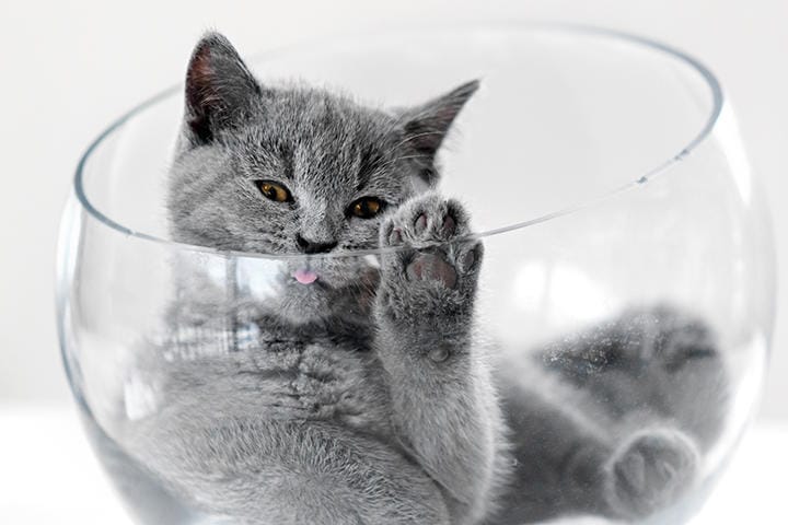 （写真はイメージです）　lisegagne-iStock