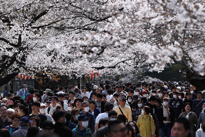 東京・上野公園の桜を見に集まった人々　Issei Kato-REUTERS
