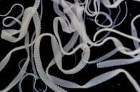 突然の激しい発作に意味不明の言葉──原因は20年前に脳に侵入したサナダムシの◯◯だった