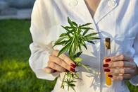 実は効果は科学的に解明できていない──大麻よりやさしいCBDという熱狂