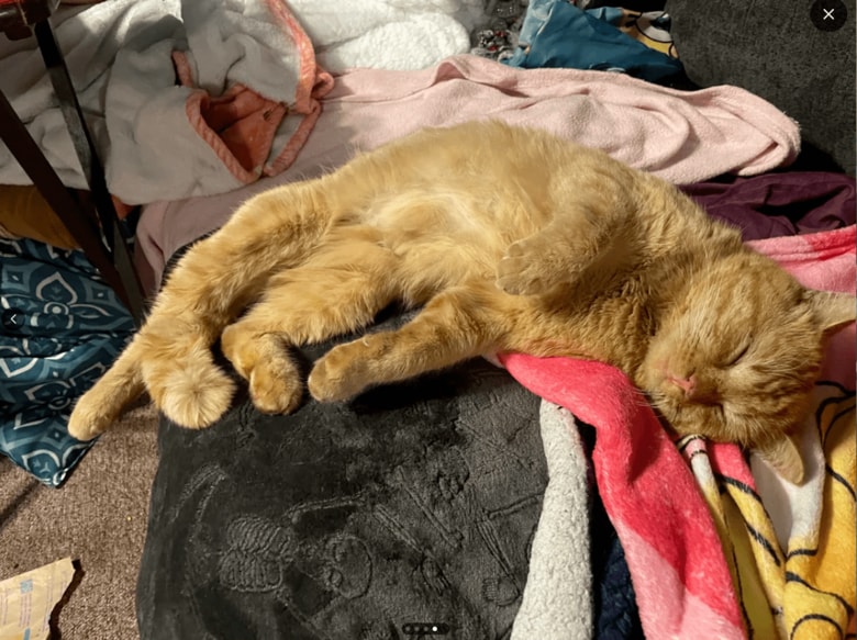 スクリーンショット (57).png