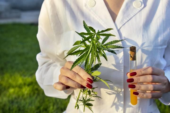 写真はイメージ　LARISA SHPINEVA-iStock