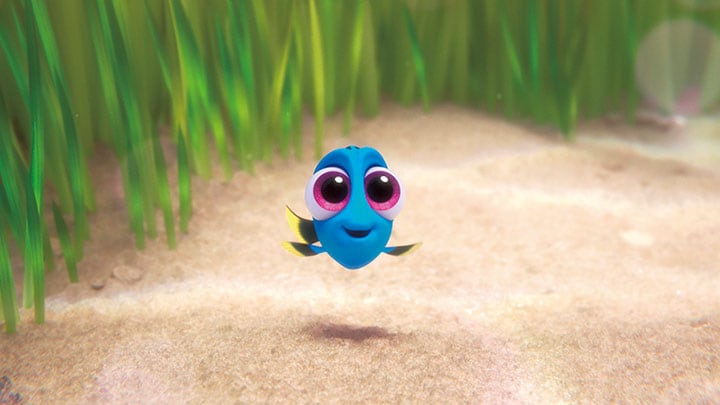 dory02.jpg
