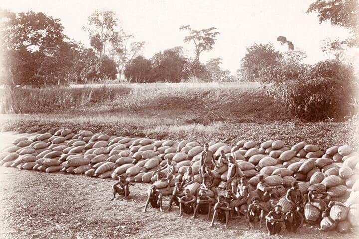 1905年、コンゴでの強制労働によって採取した大量のゴムの山　A.F.R. WOLLASTONｰROYAL GEOGRAPHICAL SOCIETY/GETTY IMAGES