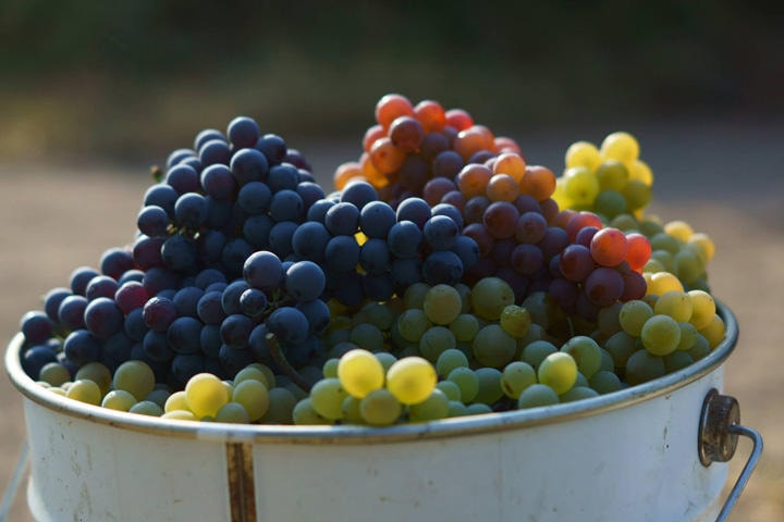 画像：筆者提供