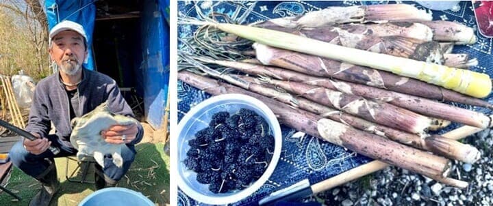 荒川河川敷のホームレス