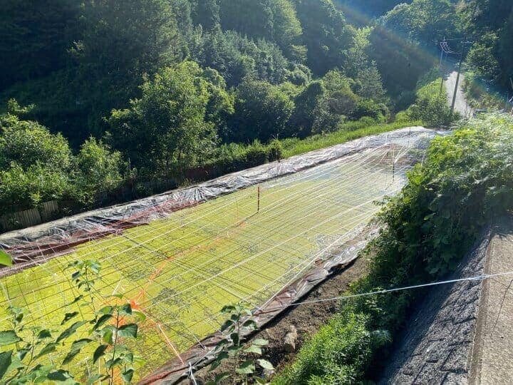 日本の地域経済と食糧を守るどじょう養殖