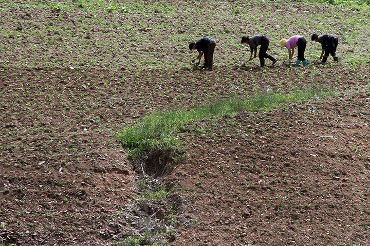 干ばつで水が干上がってしまった北朝鮮の水田地帯、平安北道（2015年）　Jacky Chen-REUTERS