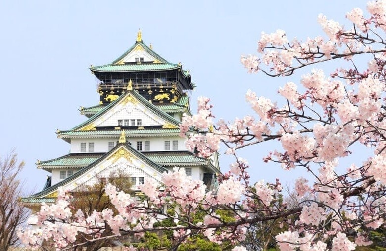 FrentaN -shutterstock-