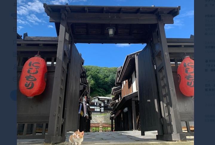 韓国でオープンした日本テーマパーク「にじもりスタジオ」　twitter：@mori_studio