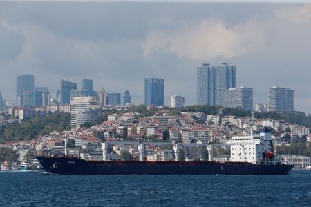 　８月５日、ウクライナは、穀物輸出再開に向けロシアによる黒海封鎖を緩和する協定を金属など他の品目にも拡大すべきと主張した。英紙フィナンシャル・タイムズ（ＦＴ）が伝えた。写真はウクライナの穀物を積んだ貨物船。イスタンブールで３日撮影（２０２２年　ロイター／Dilara Senkaya）