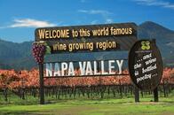 ワイン農園に支持されるカーボン・ファーミングの可能性