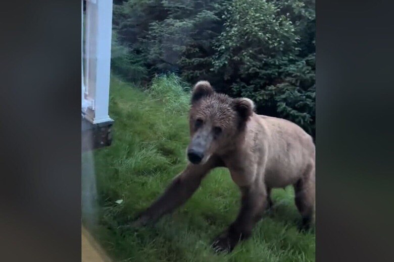 @kara_cleanwithme/TikTok