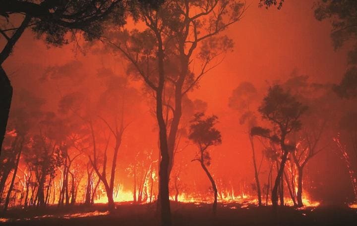 気候変動による気温上昇と空気の乾燥で火事は激しく、急速に燃え広がるが　©AMAZON STUDIOS