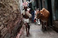 【動画】獰猛な雄牛が老婆と少年に頭突きや蹴りの猛攻