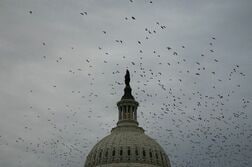 米上院、つなぎ予算可決　中間選挙控え政府閉鎖の回避目指す